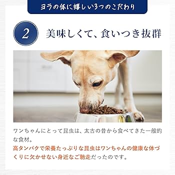 【未開封】YORA ドッグフード　賞味期限2026.01 未開封】YORA ドッグフード 賞味期限2026.01 - メルカリ